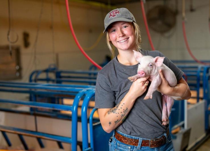 Animal Science Student Finds New Passion Working at Swine Center