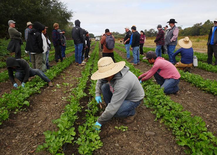 Boots on the ground: How conservation steward Javier Zamora supports new farmers