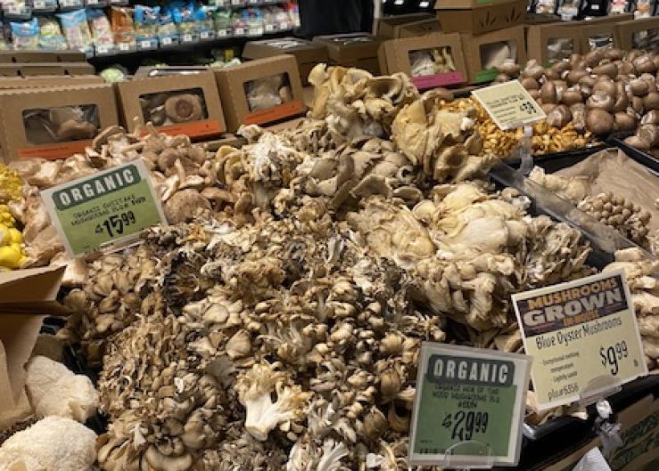 Winter Mushrooms - Mill City Farmers Market