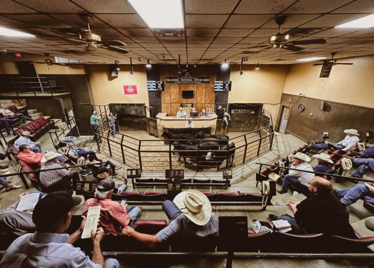 ‘Let me be clear, the Stockyards intends to thrive’
