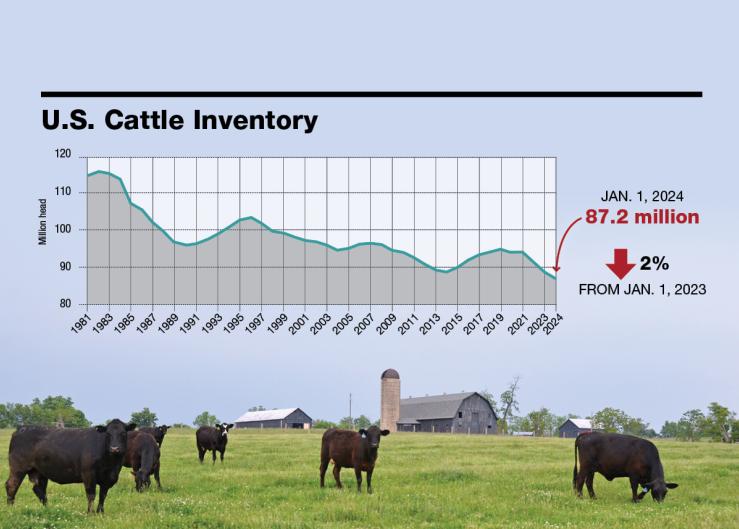 U.S. Cattle Inventory Down 2%, Beef Cows Down 2%