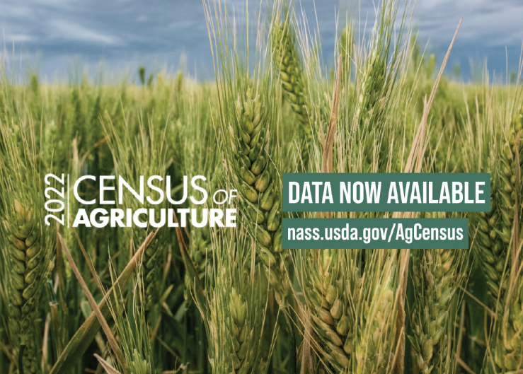 Top 5 Takeaways From the Latest Census of Agriculture