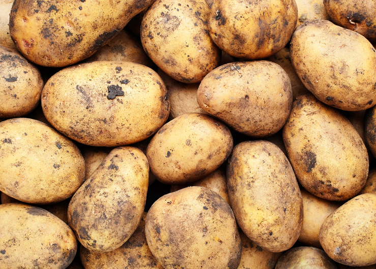 Potato Sustainability Alliance welcomes new additions