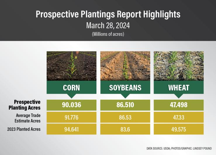 Where Did All the Corn Acres and Principal Crop Acres Go? The Two Biggest Questions from USDA's Big Prospective Plantings Report
