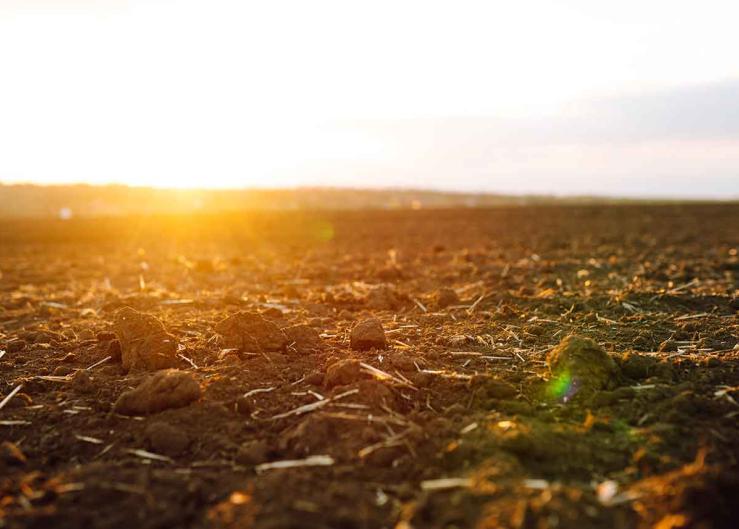 USDA allocates $1.5B for climate-smart farming
