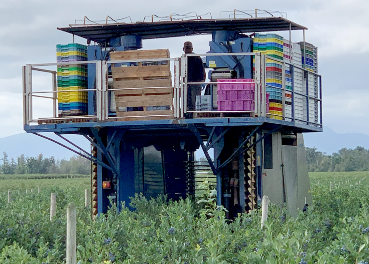 Center for Produce Safety The Packer