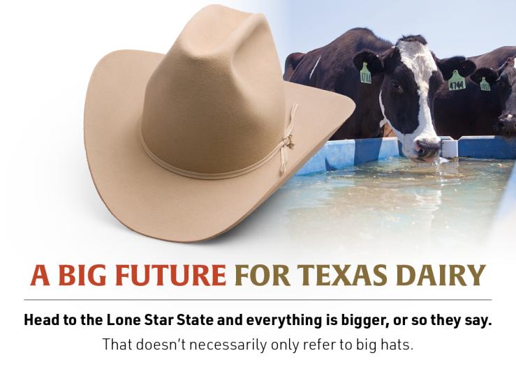A Big Future for Texas Dairy