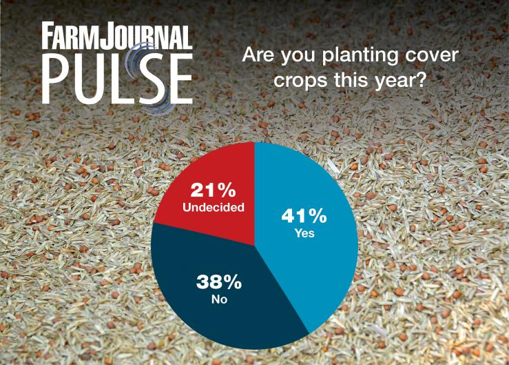 Are you planting cover crops this year?