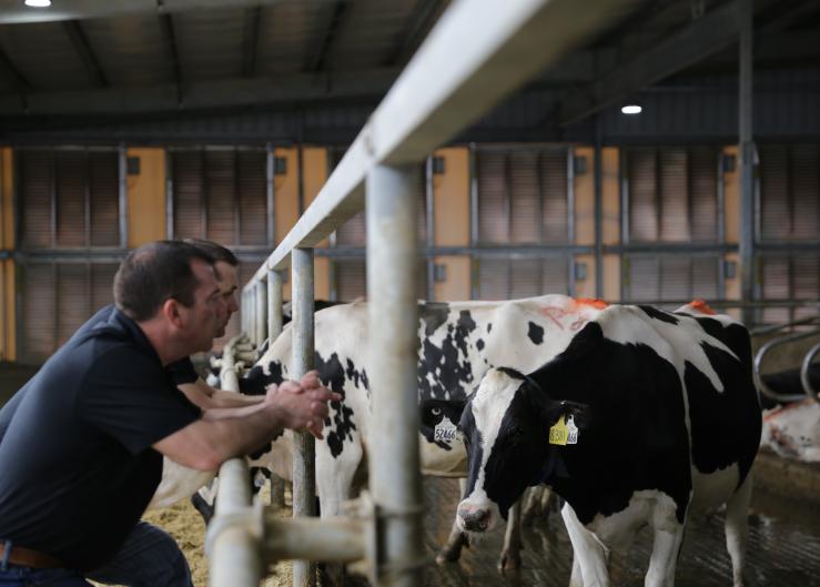 2020 Innovative Dairy Farmer of the Year: A Progressive Partnership
