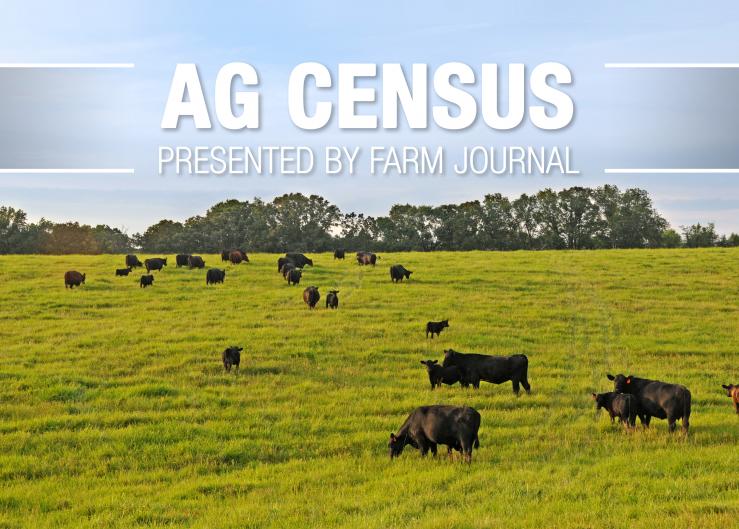 Nebraska, with 1.9 million beef cows, the fourth-largest state by beef cow numbers, is home to the nation’s top three beef counties. 