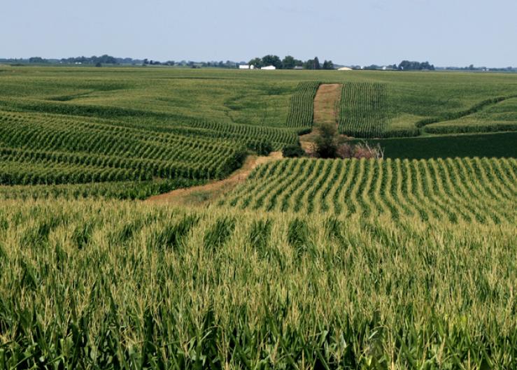 Sold! Record $19,000 Per Acre Iowa Farmland Sale Fueled By Inflation, Strong Commodity Prices