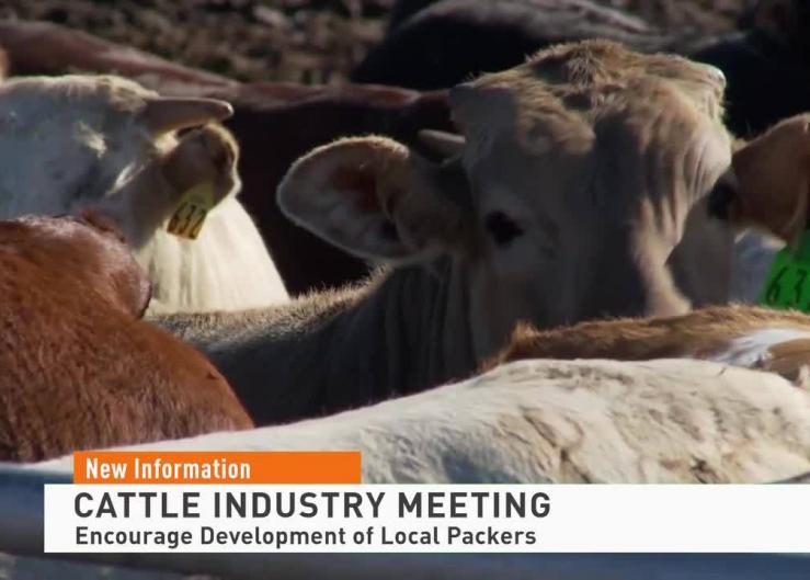 As Cattle Groups Making Unprecedented Move to Fight Market Monopoly, U.S. Lawmakers Also Push DOJ for Answers