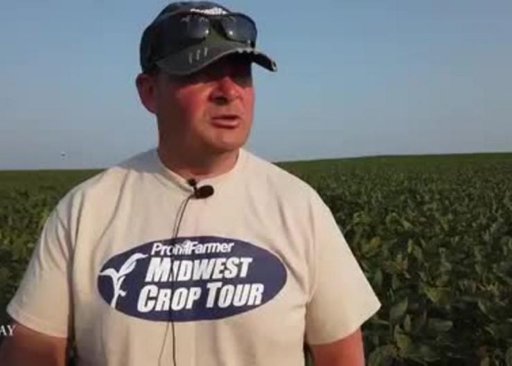 Crop Tour Scouts Find Eastern Iowa, Southern Minnesota in Dire Need of Rain to Salvage Yields