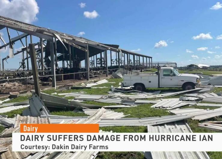 Dairy Report: Dairy Suffers Damage from Hurricane Ian