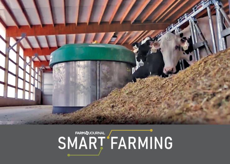 Robotic Technology Helps These Dairies Become Better