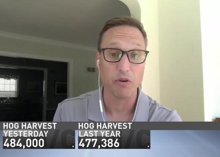 Grape Growers Desperately Need You to Drink More Wine as They Grapple With a Glut of Uncontracted Grapes