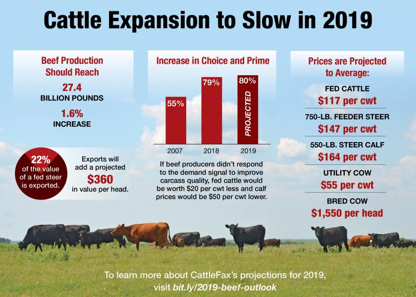 Cattle Expansion to Slow in 2019