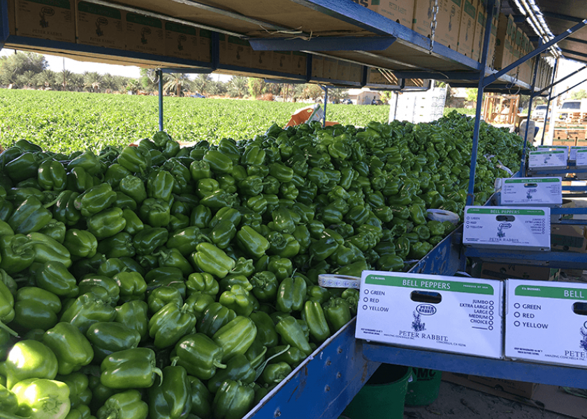 Peppers Marketing 2018 business updates