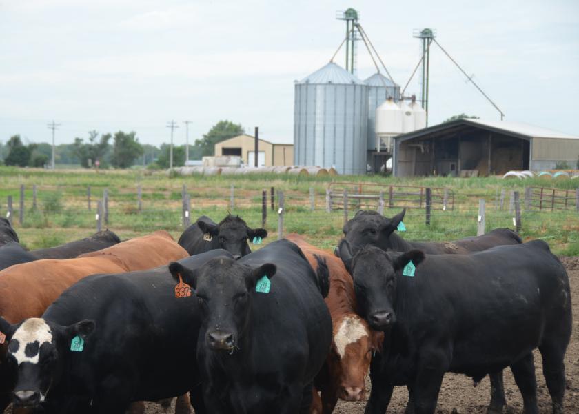 Ionophores and chlortetracycline were the antimicrobials fed on the highest percentages of feedlots.