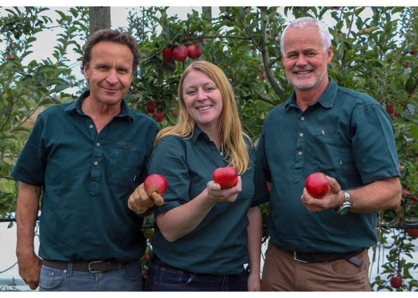 Organic Apples  Bostock New Zealand