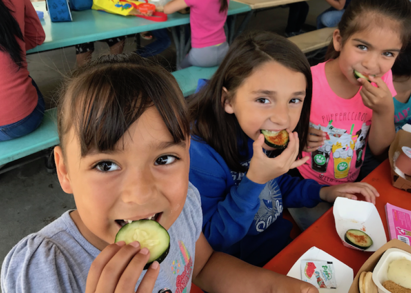 The USDA Farm to School program is designed to help farmers and increase fresh, local food in schools, childcare centers and summer-meal sites.

