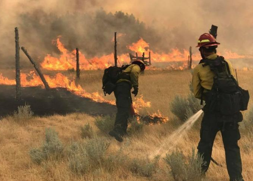 Wildfires