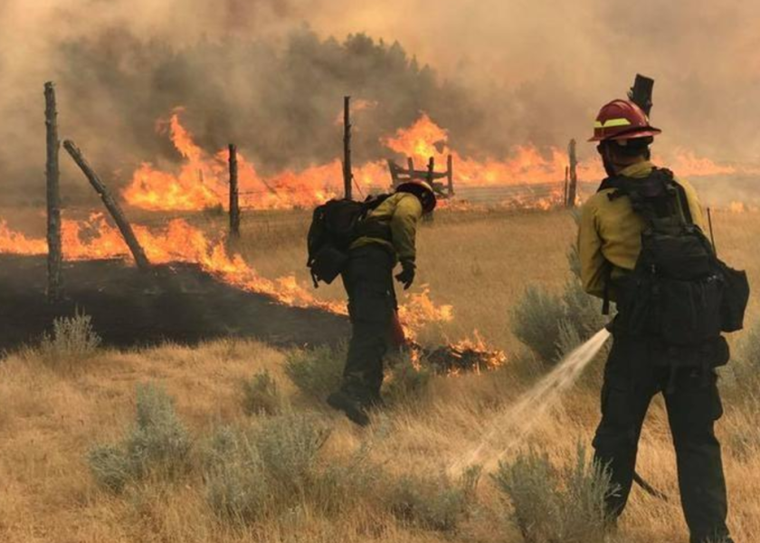 Idaho Governor Says Federal-State Program May Tame Wildfires