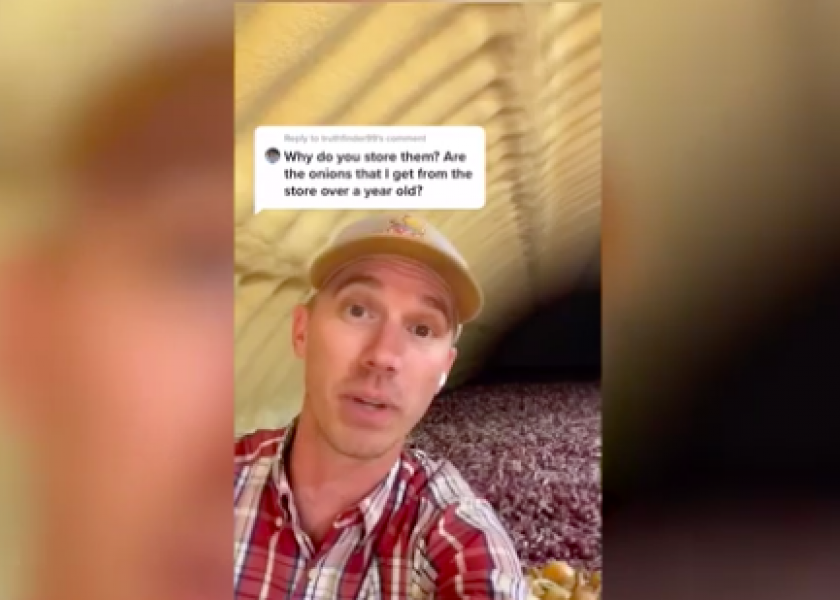 Farmer Goes Viral on TikTok After Onion Video 