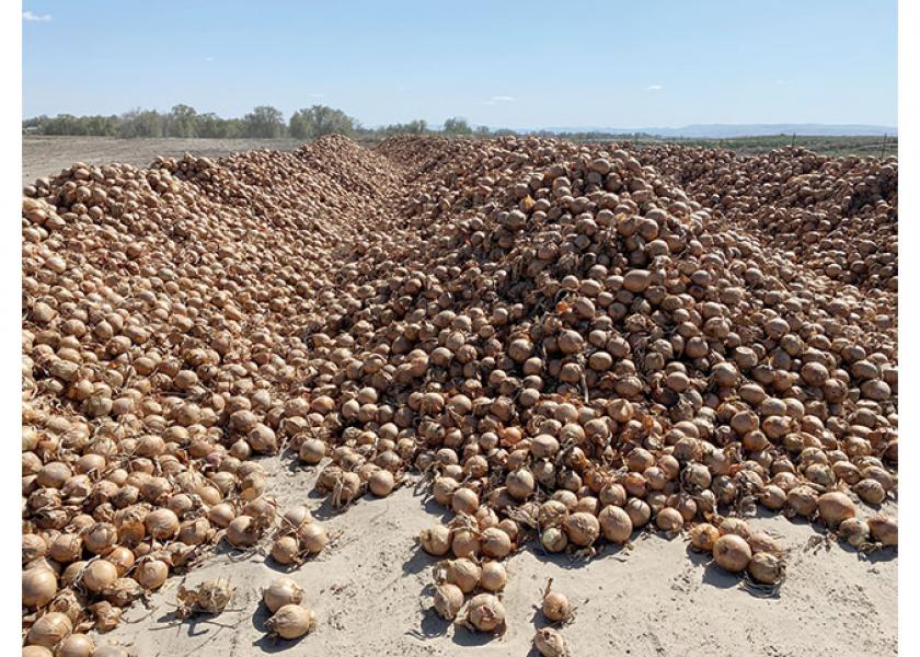 Many growers have found themselves with huge volumes of onions on hand with few ways to move them after the sudden loss of foodservice business due to COVID-19-related restrictions.