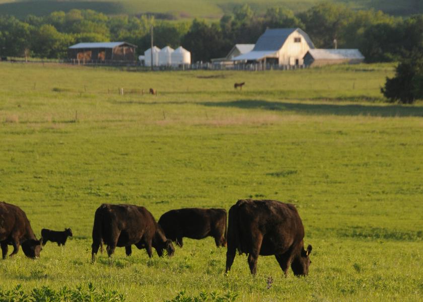 Use Sound Grazing Practices to Reduce Overgrazing and Weeds