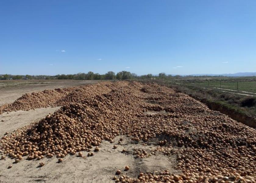 Toward the end of the Idaho-eastern Oregon storage season, tons of onions had to be composted in mid-April because of lost foodservice demand related to the COVID-19 crisis. 
