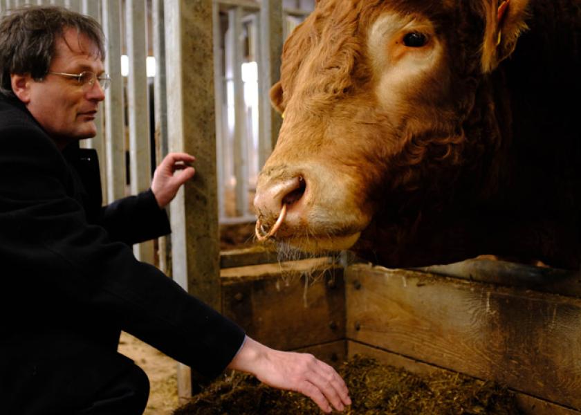 Professor Rainer Roehe says the study could improve yields as well as cattle health.