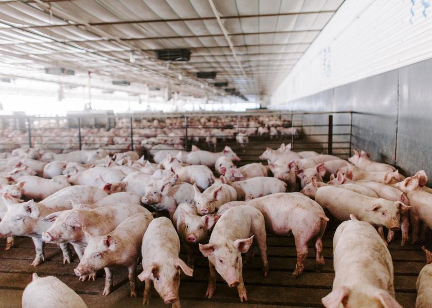 Farmers are quickly adapting to COVID-19 challenges so their products can safely and efficiently travel from farm to the hands of consumers.