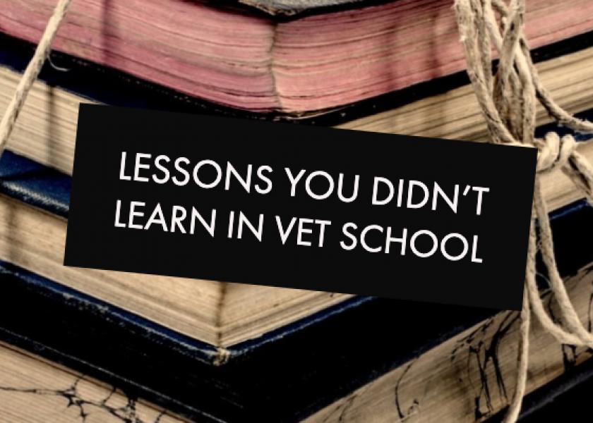 Veterinarians share the lessons they wish they'd learned in veterinary school. 