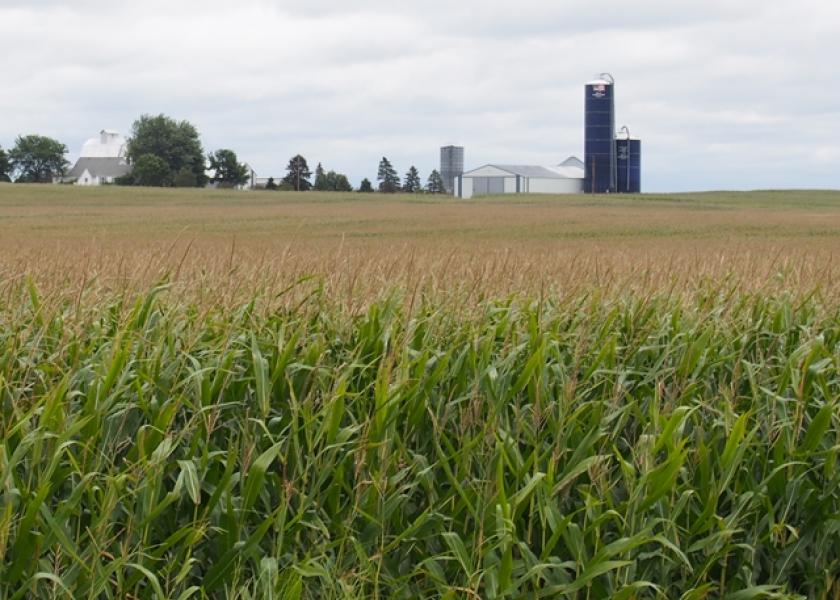 farmland corn Minnesota MN crop tour 2015
