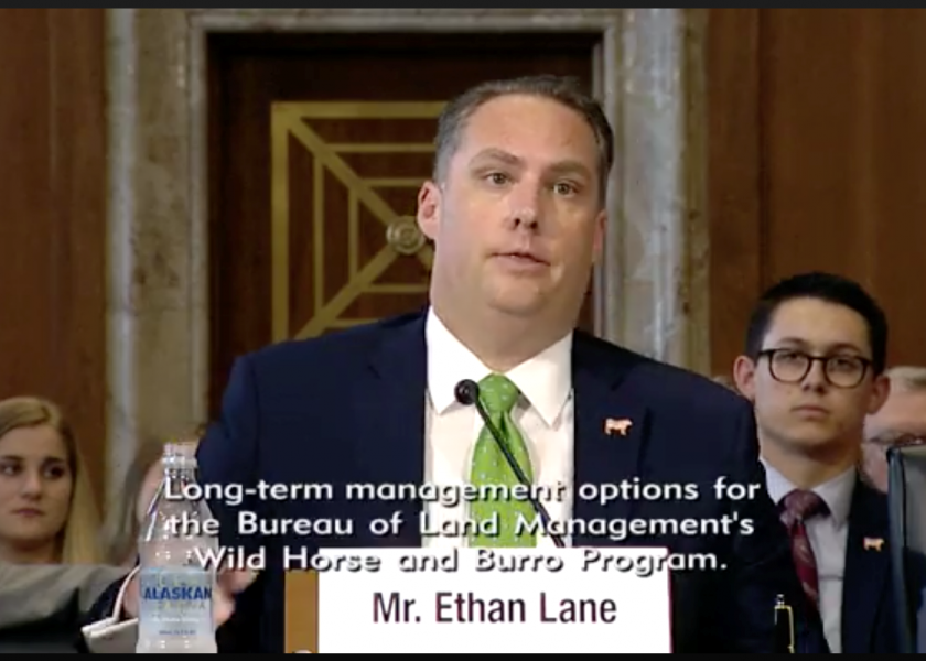 “Excessive populations deplete scarce food and water resources on the arid rangelands, leading to starvation and dehydration of the horses and burros,” Ethan Lane, NCBA and PLC, told members of the Senate’s Committee on Energy and Natural Resources Subcommittee on Public Lands, Forests, and Mining.