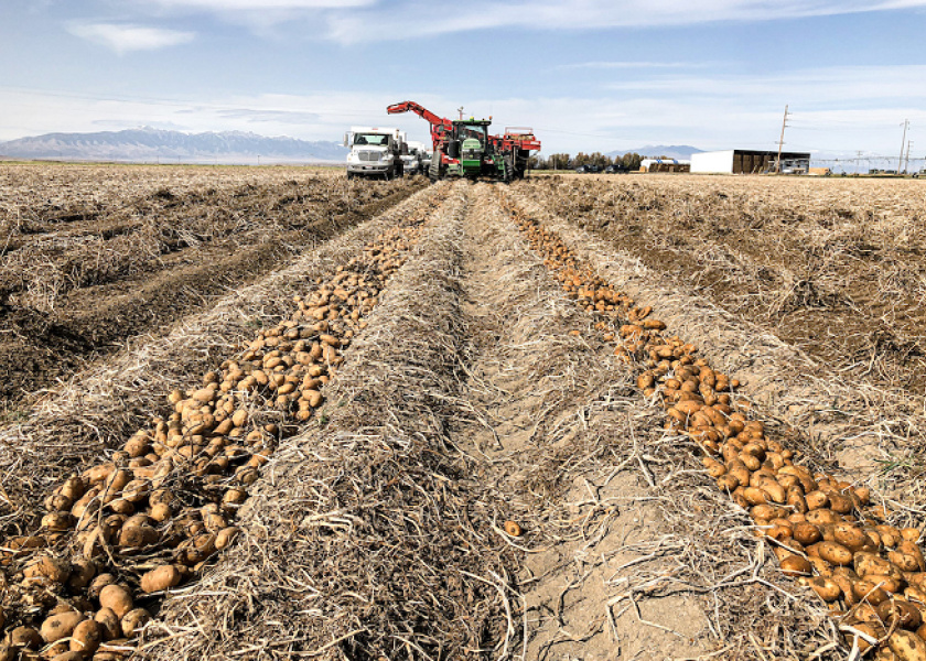 Eagle Eye Produce starts shipping newcrop Idaho potatoes The Packer