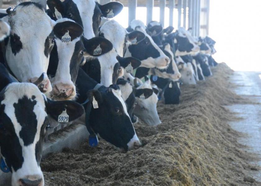  “Trade has to offset what appears to be another 3.5 billion pound increase in milk production this year that will try to pressure prices lower.”
