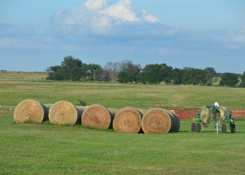 Knowing Hay Quality Affects Supplementation Strategy