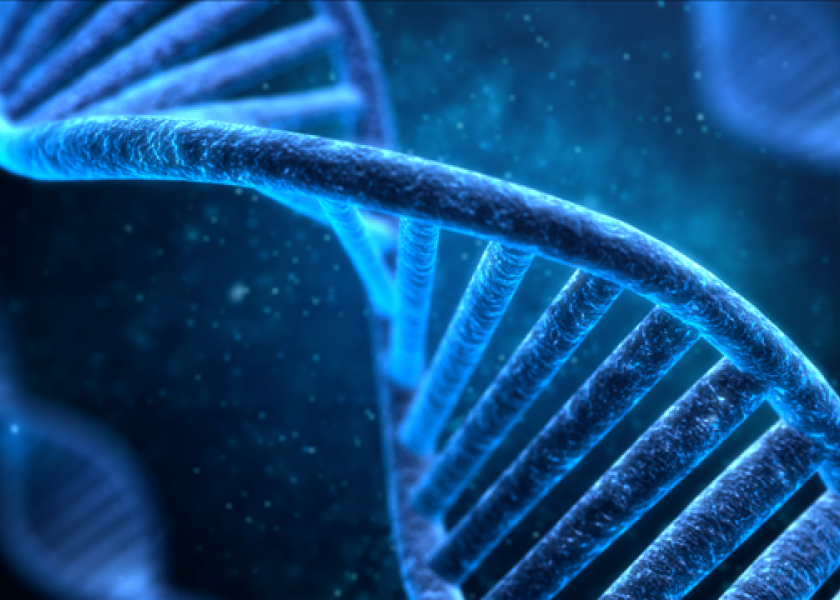 Genomic editing modifies an organism's existing genome, without inserting foreign DNA.