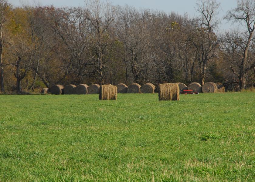 Slow Spring Shaves Hay Yield, Quality Issues