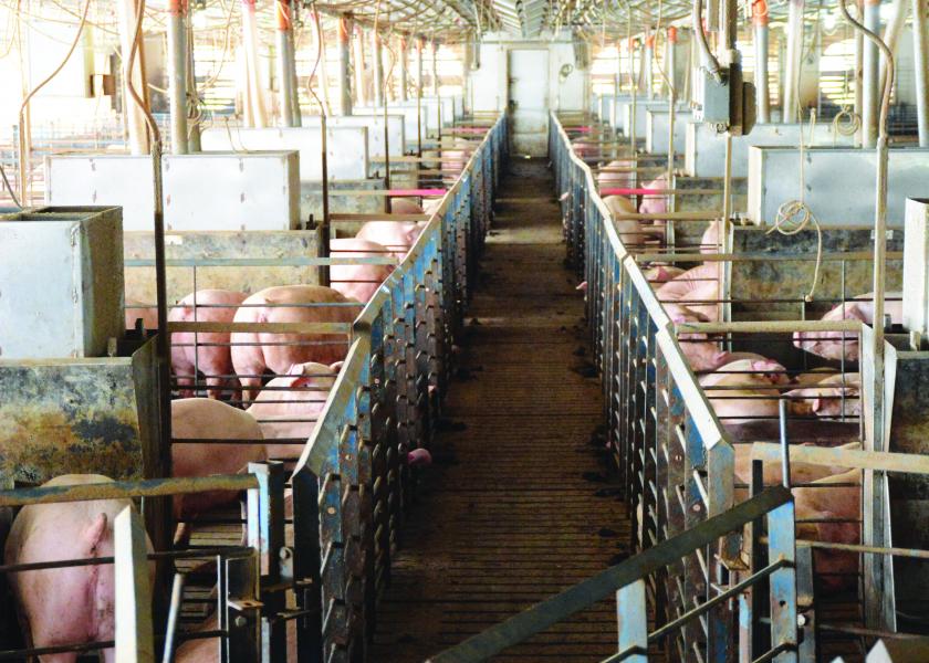 A Recipe for Innovation Success in the Pork Industry | Pork Business