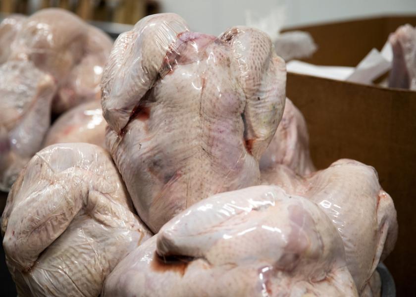File Photo: Thanksgiving Turkeys