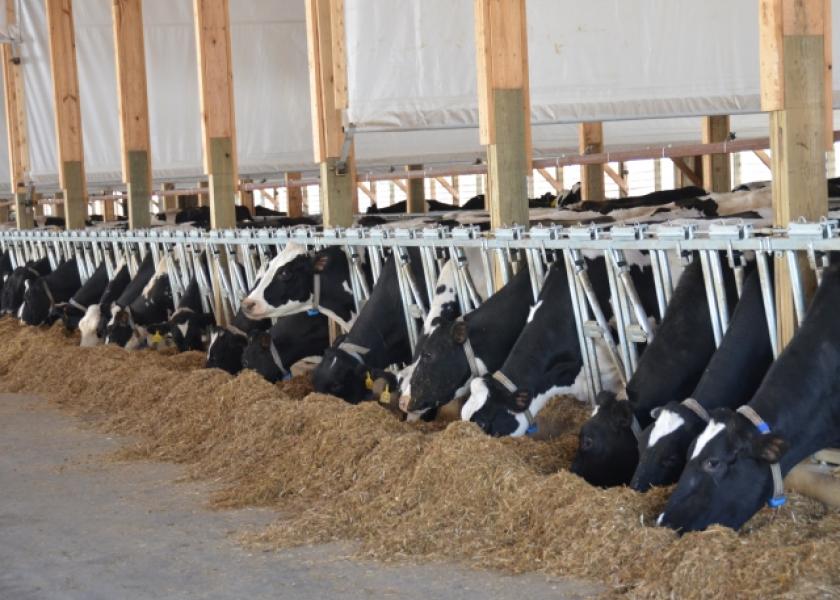 Mike North says that some of the ongoing processor expansions taking place in Kansas, South Dakota and Texas attract only the largest of dairies