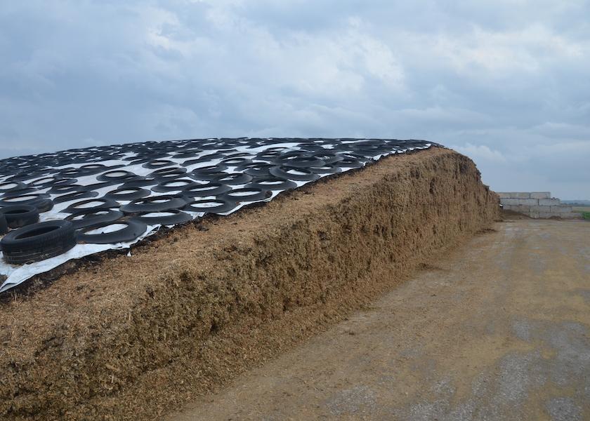 The first step to evaluating the risk your silage will have a high level of mycotoxins is to assess the conditions during harvest.