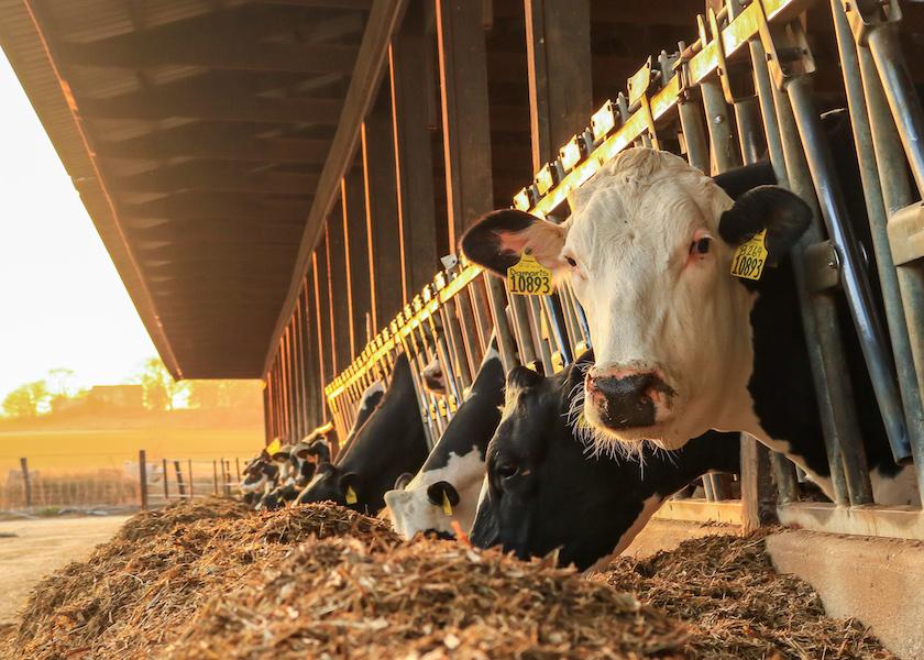 It's a secret that needs to be shared - Dairy cows can take the “leftovers” of human food and fiber processing and turn them into high-quality protein. 