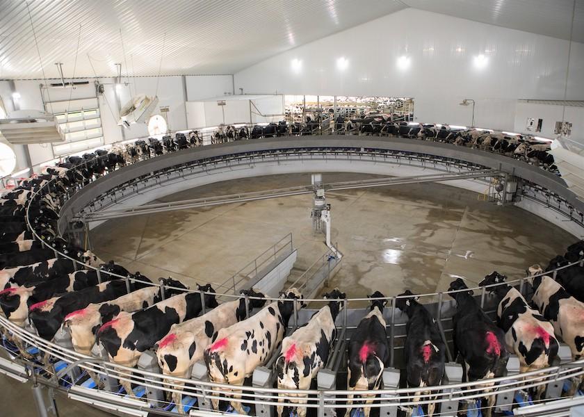 USDA reported that more than 297,000 dairy cows were culled in March, a decline of 5,000 year-over-year, but also an increase of more than 30,000 from February.