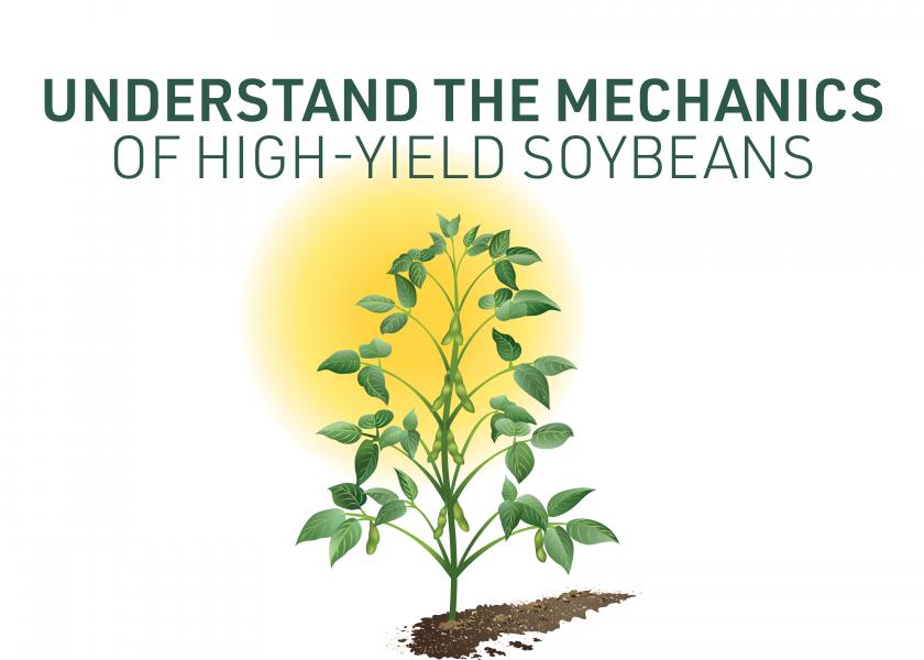 Farm Journal Associate Field Agronomist Missy Bauer says maximizing yields requires a complete understanding of the soybean plant.
