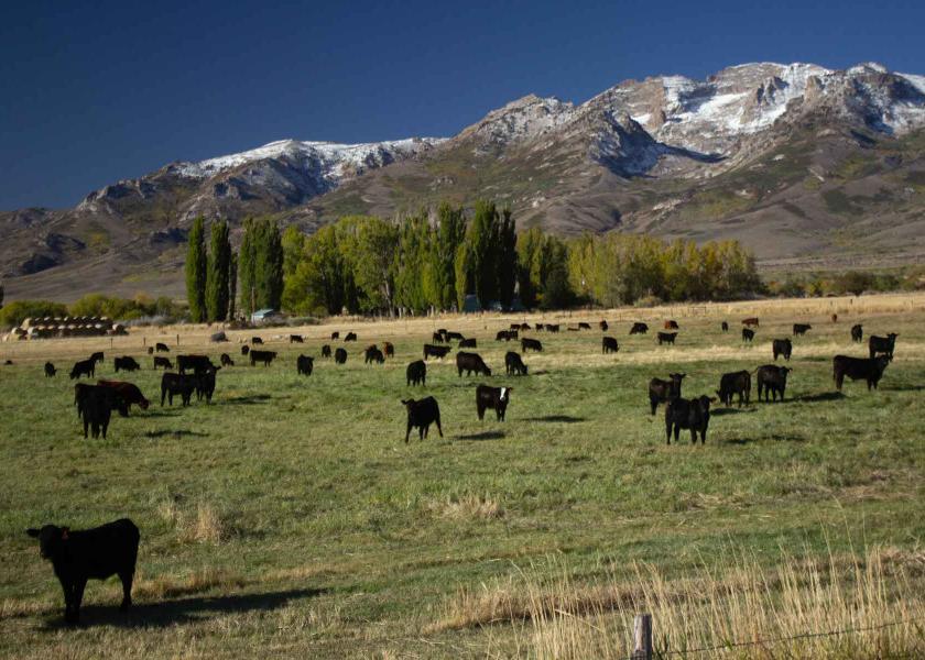 Mountain ranch