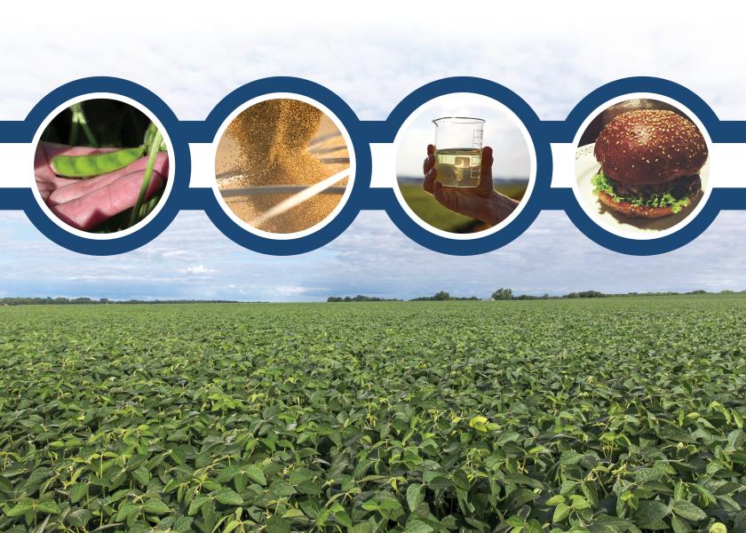 Specialty soybeans provide profit opportunity.